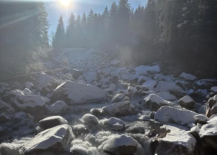 伊微豪斯公寓 公寓