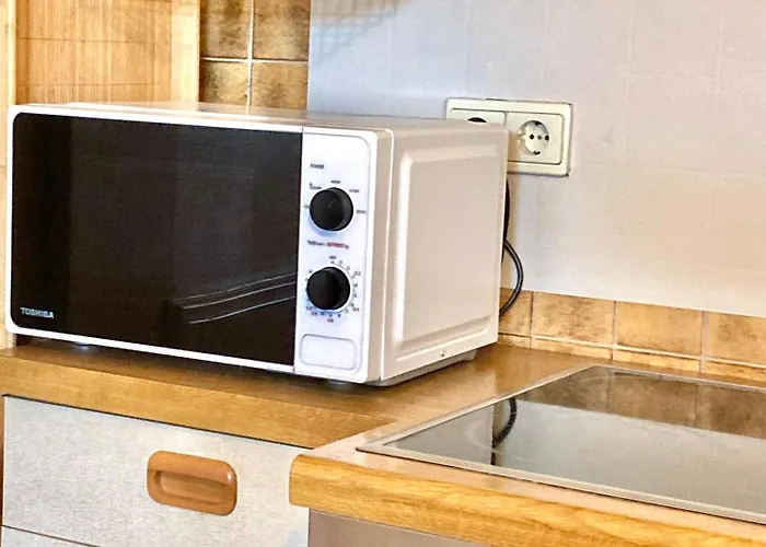 伊微豪斯公寓 公寓 厄茨